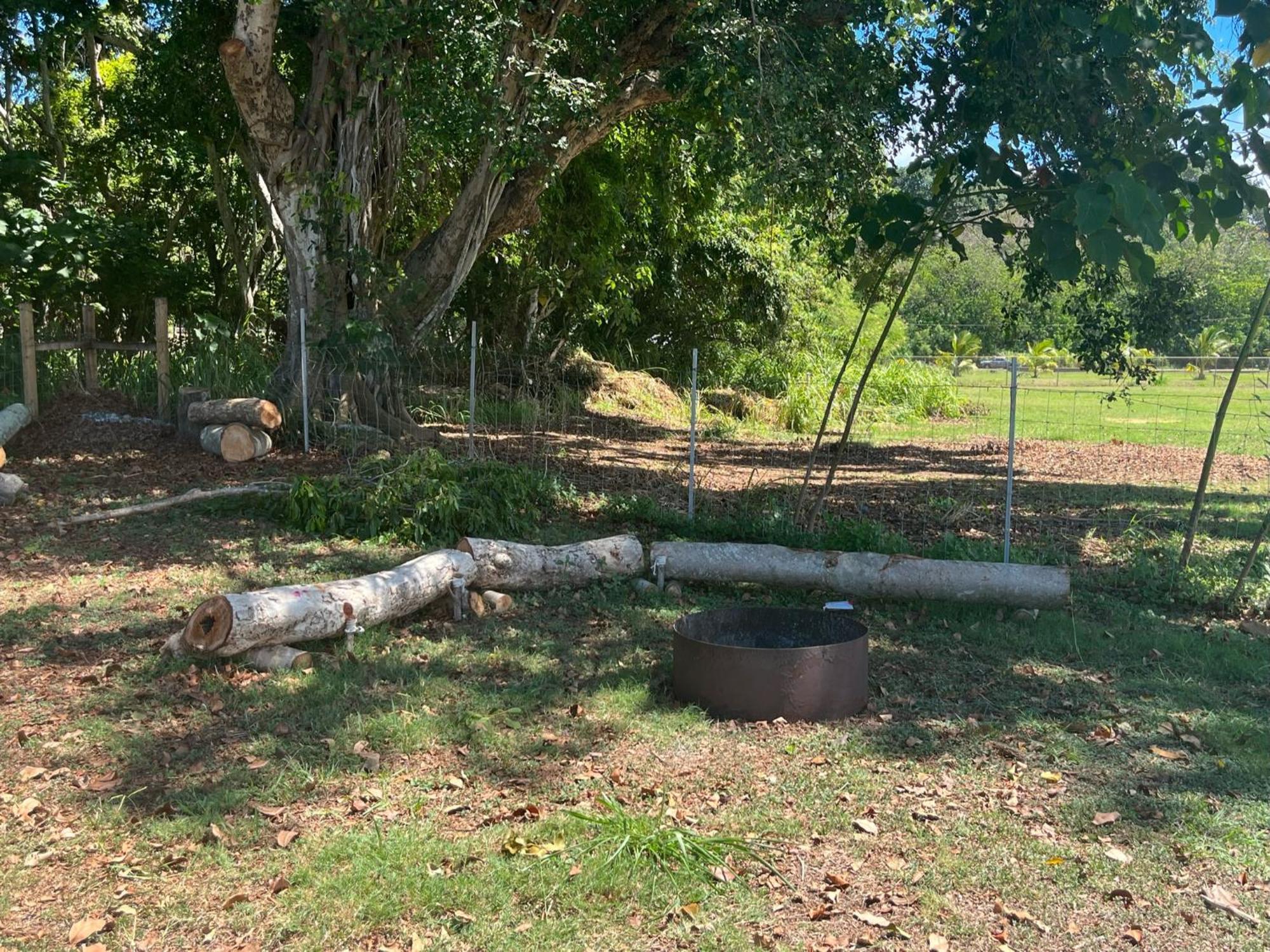 North Shore Glamping Camping Laie, Oahu, Hawaii Εξωτερικό φωτογραφία